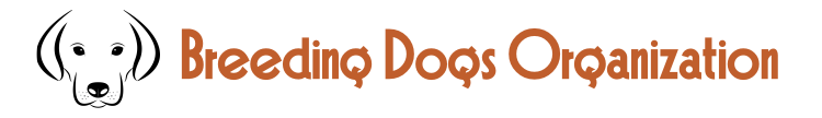Breeding Dogs Organization